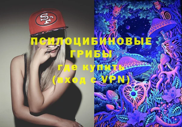 PSILOCYBIN Бородино